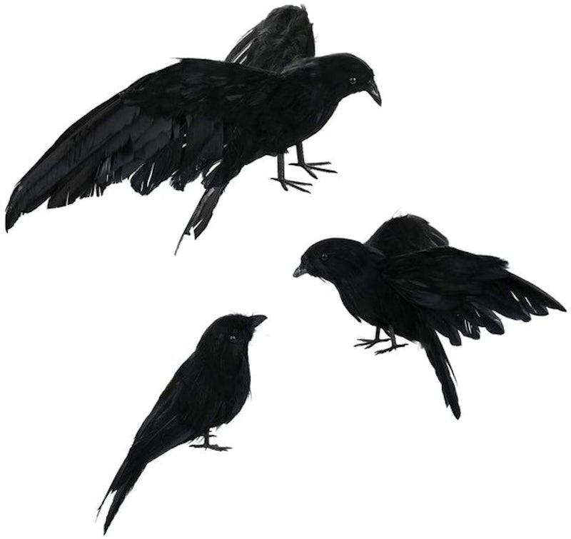 Pack of 3 Black Halloween Crows 1