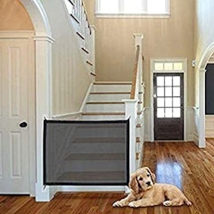 Magic Gate for Dogs