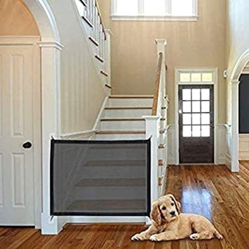 Magic Gate for Dogs 1