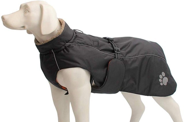 Fleece Lined Dog Coat 2