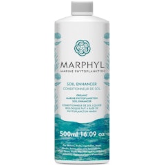 Marine Phytoplankton
