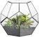 NCYP Pentagon Geometric Terrarium 1