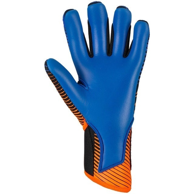 Pure Contact 3 2