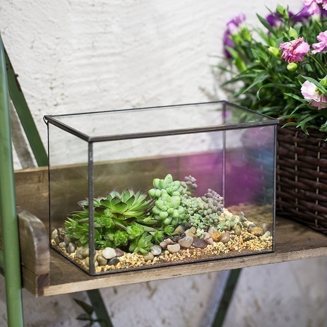 Geometric Terrarium Box With Lid 2