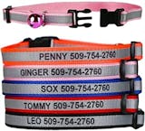 10 Best Cat Collars UK 2024 | Rogz, Kittyrama and More 5