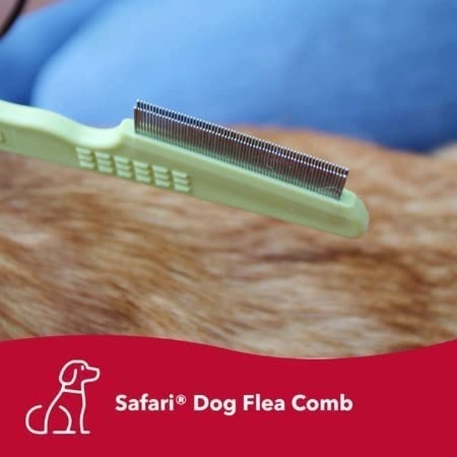 Dog Flea Comb with Double Row of Teeth 2