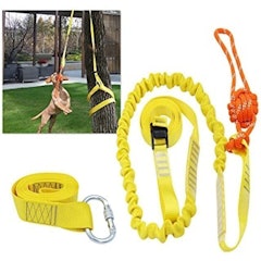 Retractable Interactive Dog Toy