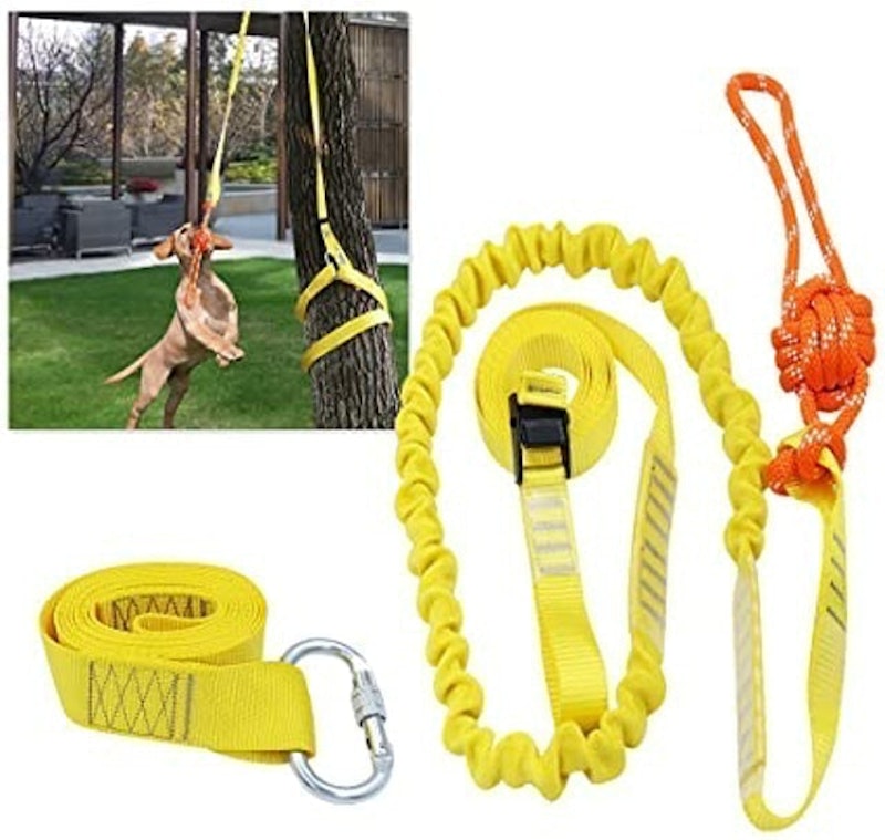 Retractable Interactive Dog Toy 1