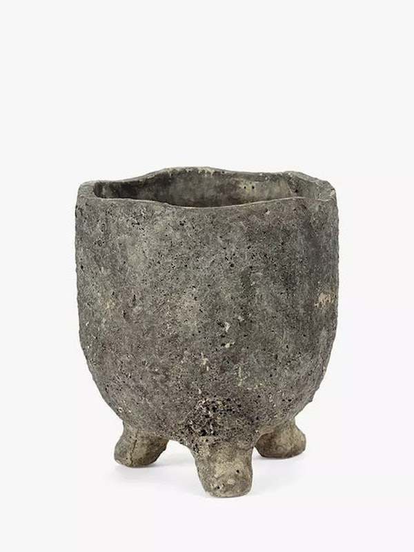 Dino Pot 1