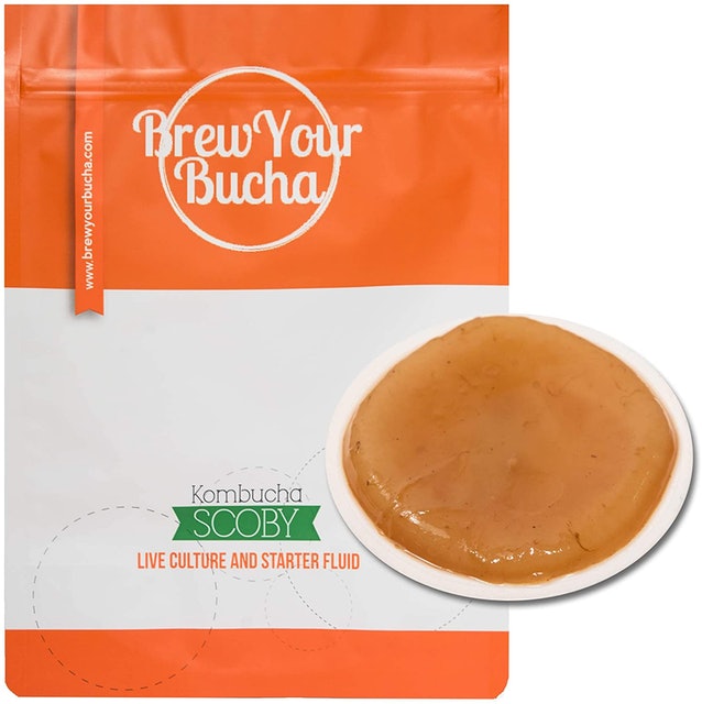 SCOBY With Starter Fluid 1