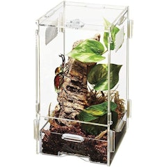 Micro Habitats Arboreal