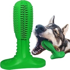Toothbrush Stick Dog Chew Toy