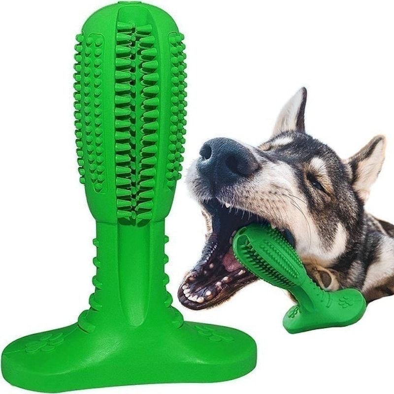 Toothbrush Stick Dog Chew Toy 1
