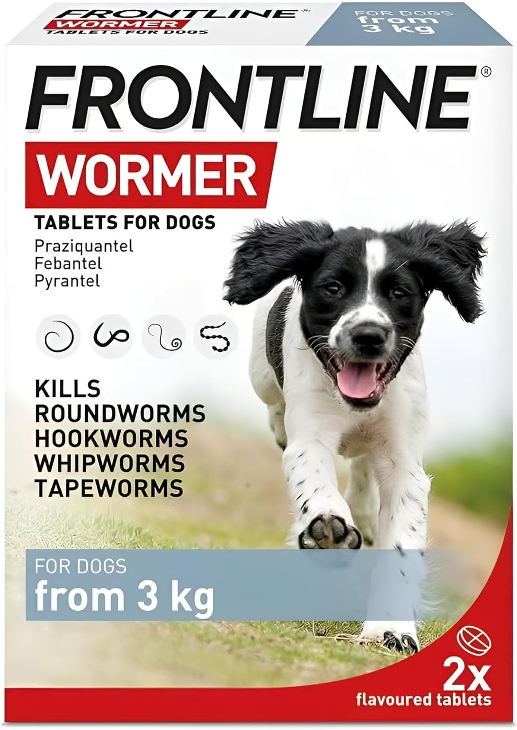 9 Best Dog Wormers 2024 | UK Veterinarian Reviewed 2