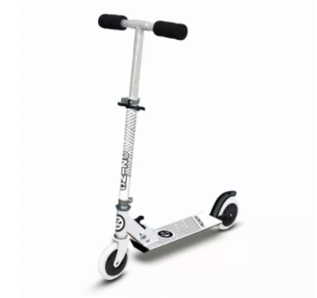 Folding Inline Scooter 1
