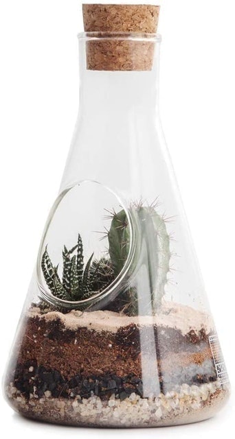 Chemistry Terrarium Kit 2
