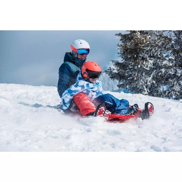 Adult Sledge With Brakes 3