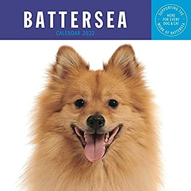 Dogs Calendar 2022 1