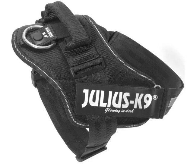 IDC Power Harness 2