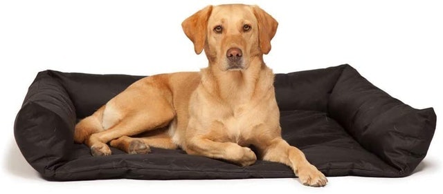10 Best Waterproof Dog Beds UK 2024  | Danish Design, Bunty and More 4