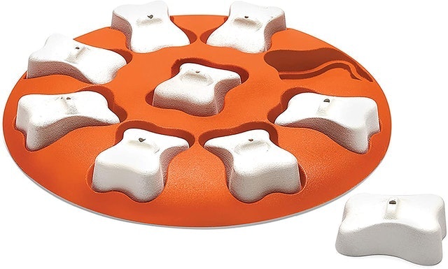 10 Best Dog Toys 2024 | UK Veterinarian Reviewed 5