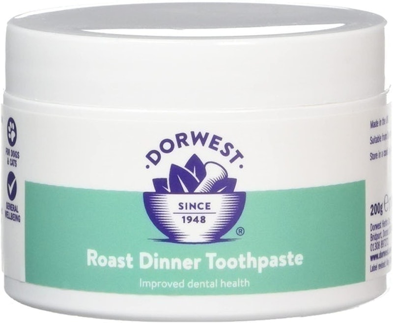 Roast Dinner Toothpaste 1
