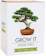Gift Republic: Grow It Grow Your Own Bonsai Tree 1