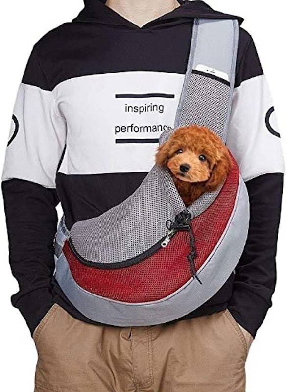 Pet Carrier 2