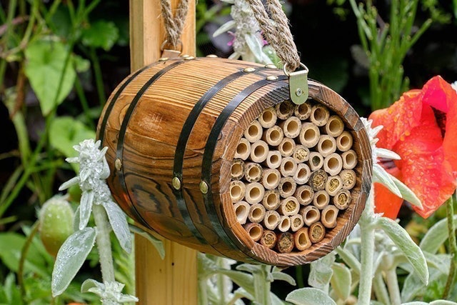 Barrel for Solitary Bees 2