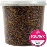 5 Best Bird Foods for Winter UK 2