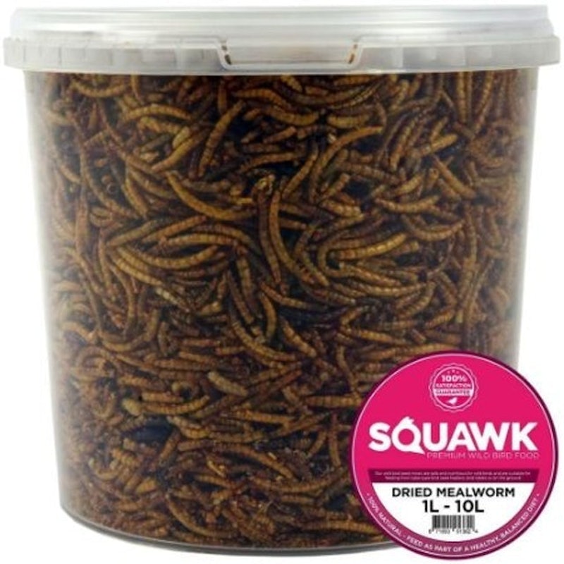 3. SQUAWK Dried Mealworms 1