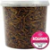 SQUAWK 3. SQUAWK Dried Mealworms 1