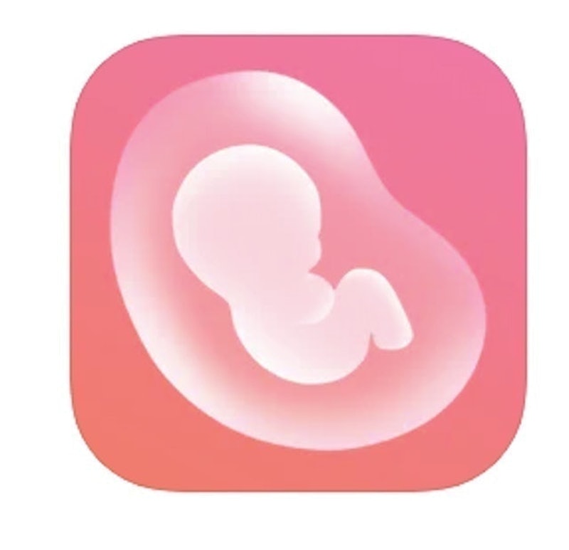 Pregnancy Tracker: Baby Bump 1