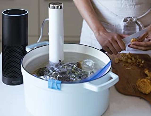 Joule Sous Vide 2