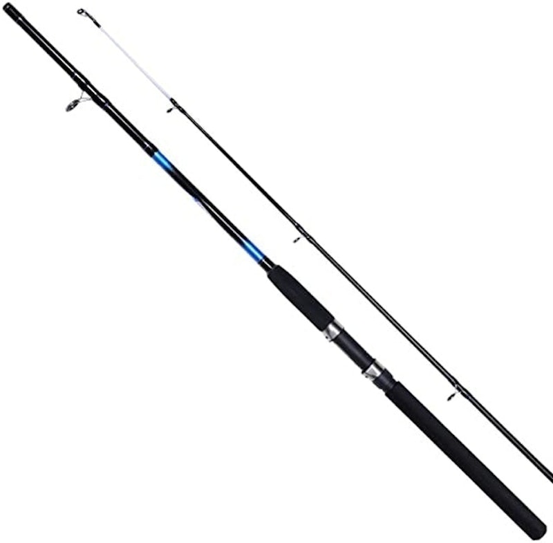 Beta Boat Rod 1