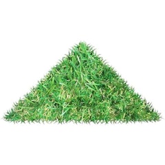 Luxury 30mm Pile Height Artificial Grass