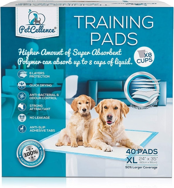 10 Best Training Pads UK 2024 | Simple Solutions, World of Pets and More 2