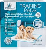 10 Best Training Pads UK 2024 | Simple Solutions, World of Pets and More 2