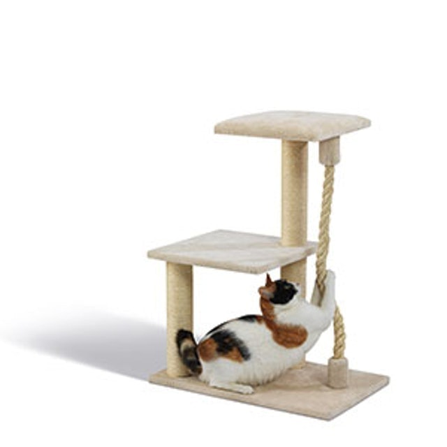 9 Best Cat Scratching Posts UK 2023 Paw Hut Pets at Home and