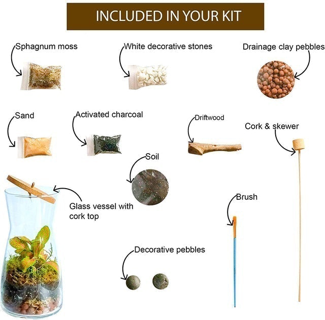 Handmade Terrarium Kit 2