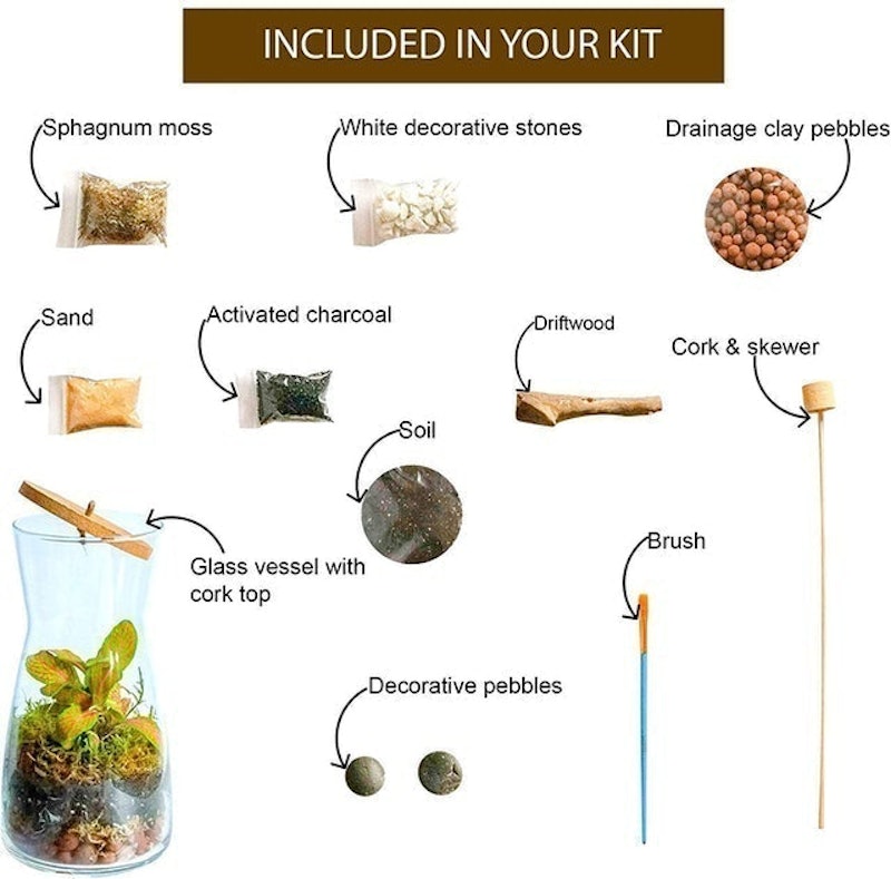 Handmade Terrarium Kit 2