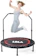 LBLA Fitness Trampoline for Adults 1