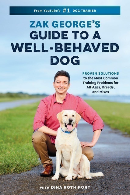 10 Best Dog Training Books UK 2024 | Graeme Hall, Pippa Mattinson and More 5
