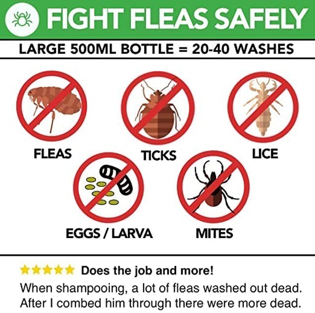 Flea Shampoo for Dogs & Cats  2