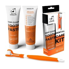 Dental Care Kit