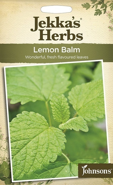 10 Best Cat-Safe Plants UK 2024 3