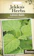 Johnsons Melissa Officinalis - Lemon Balm Seeds 1