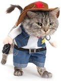 10 Best Halloween Costumes for Cats UK 3