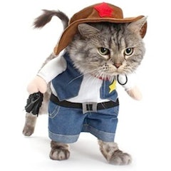 The Cowboy Cat Costume