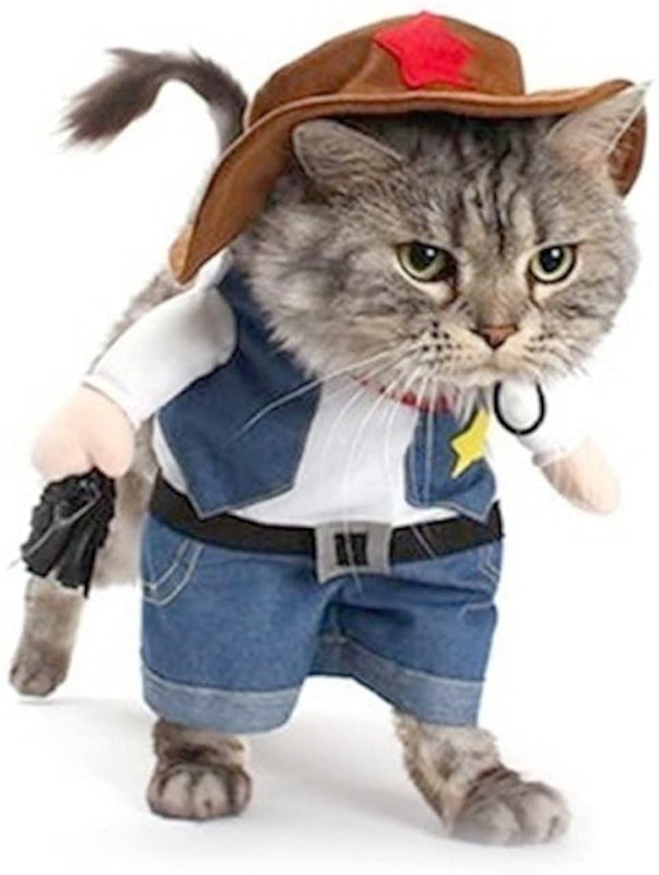 The Cowboy Cat Costume 1